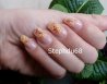 Citronnade et orangeade 1 stephdu68.jpg