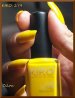 kiko-279-3.JPG