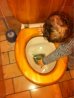 image-4115582766.jpg