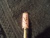 SAM_0880 - Copie.JPG