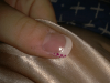 ForumRunner_20120516_005208.png