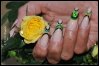 UFO-Nails 02.jpg