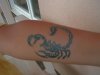 scorpion.JPG