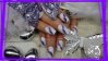 ongles 06 juin 2012 008.JPG