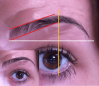 sourcils detaille.png