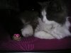 pat photos 272.jpg