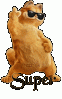 1eb6f89923.gif