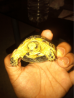 image-2621322296.png