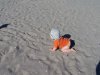 100_8570.JPG