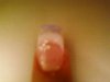ongles 007.jpg