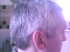 IMG0748A.jpg