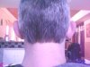 IMG0753A.jpg