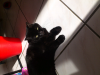 ForumRunner_20121101_102439.png