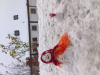 ForumRunner_20121101_102517.png