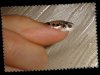 DSC07609.jpg