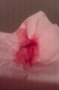 ForumRunner_20121124_020149.png