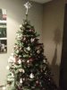 IMG00904-20121201-1519.jpg