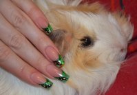 1ere willa verte.jpg