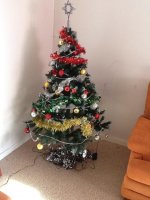 sapin de noel.jpg