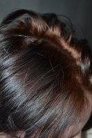 DSC_0881 (533x800).jpg