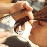 7d8b4b1329coupe.jpg 7d8b4b1329coupe.jpg