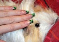 1ere willa verte 2.jpg