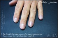 SylviaGold Square 02.jpg