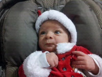 ForumRunner_20121224_184350.png ForumRunner_20121224_184350.png