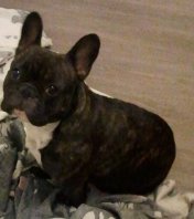 2012-10-03 17.35.33.jpg