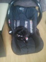 2013-01-10 15.23.15.jpg