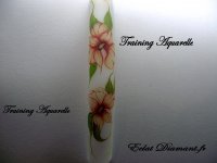Aquarelle training.jpg