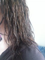 DSC_5263.JPG DSC_5263.JPG