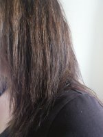 DSC_5264.JPG DSC_5264.JPG