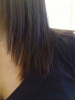 DSC_5279.JPG DSC_5279.JPG