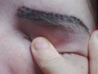 IMG568.jpg IMG568.jpg