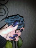 2013-01-15 08.31.09.jpg