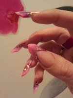 565871_586788158014361_506605350_n (1).jpg