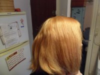 SAM_1243.JPG SAM_1243.JPG