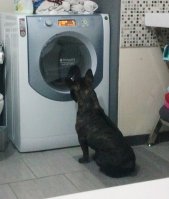 2013-01-24 fiona.jpg