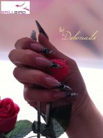 150935_404117519682167_1914976159_n (1).jpg