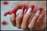 536798_111538338982896_61795940_n.jpg 536798_111538338982896_61795940_n.jpg