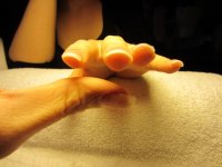 stagiaire michault anais 004.JPG