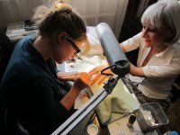 stagiaire michault anais 004.JPG