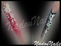 stillets capsules 12.jpeg