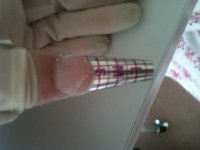 IMG_1188.JPG IMG_1188.JPG