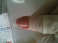 IMG_1201.JPG IMG_1201.JPG