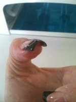 IMG_1207.jpg IMG_1207.jpg