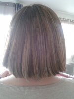 2013-02-05 12.16.58.jpg