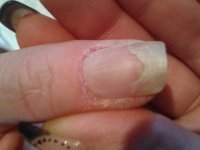 2013-02-08 14.08.57.jpg