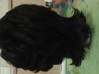 2013-01-11 19.09.50.jpg